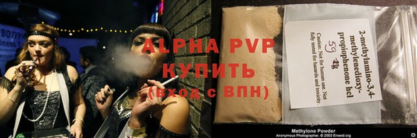 ПСИЛОЦИБИНОВЫЕ ГРИБЫ Арсеньев