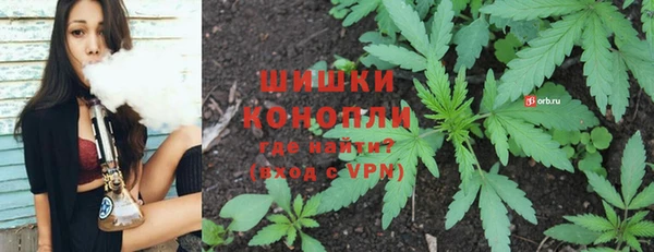 ПСИЛОЦИБИНОВЫЕ ГРИБЫ Арсеньев