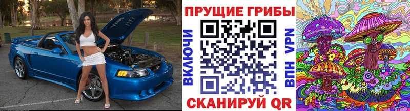 blacksprut как войти  Медногорск  Галлюциногенные грибы Psilocybine cubensis 
